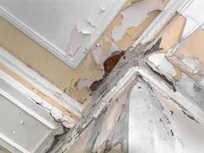 Dry Rotted Ceiling Dry Rot Repair Folsom CA | Folsom Roof Repair